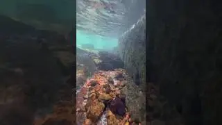 Underwater Ganesh Mandir of Pandava period Pokharbav Devgad |#shorts #viral #yt