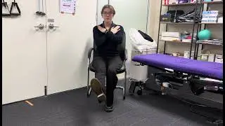 Sit to Stand - Double Leg Rise and Single Leg Lower