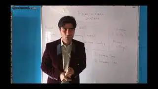 Health Care System (Pashto Language)