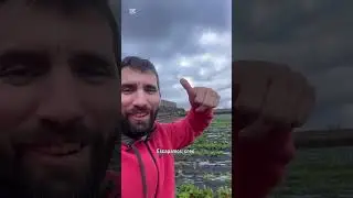 Emilia aquí dejo 50L Y algunos desastres del viento de anoche 💨 