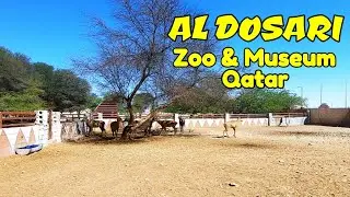Al Dosari Zoo Qatar | Dosari Park Qatar. Private Zoo and Game Reserve in Qatar.