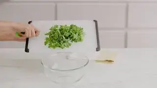 OXO Lettuce Knife with Kale Stripper