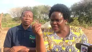 IFAHAMU SAYANSI YA KUZALISHA MBEGU BORA KOROSHO