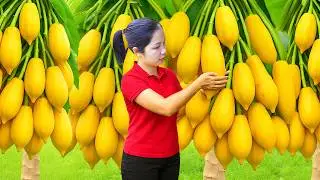 Harvesting 1000 + Kg Papaya Fruit Goes To Market Sell,Traditional Papaya Mango Salad | Ella New Life