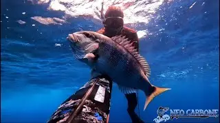 Spearfishing Passion - NeoCarbone - NC110P -