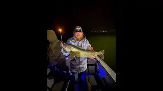 Walleye?