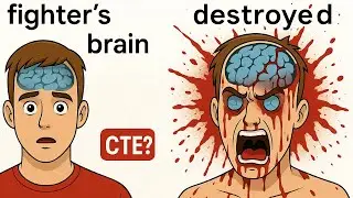 MMA CTE Epidemic Fighters With Permanent Brain Damage