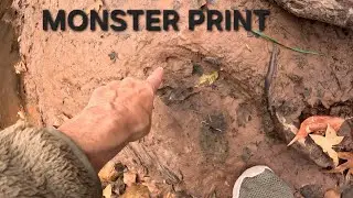 CREEK MONSTER #bigfoot 
