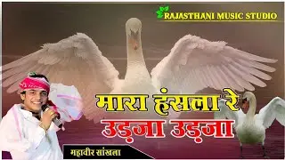 मारा हंसला रे उड़जा उड़जा || 𝗠𝗮𝗵𝗮𝘃𝗲𝗲𝗿 𝗦𝗮𝗻𝗸𝗵𝗹𝗮 || चेतवानी भजन 