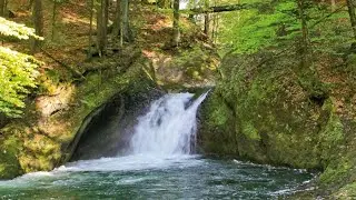 Wanderung im Eistobel bei Isny
