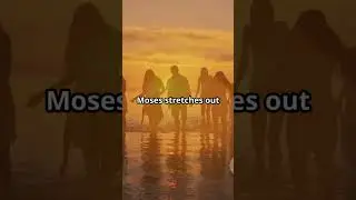 HOW THE RED SEA REALLY PARTED! - First Baptist Church Alief #shorts #viralshorts #god
