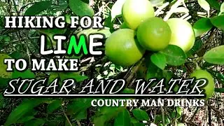 HIKING TO FIND LIME | SUGAR AND WATER DRINKS
