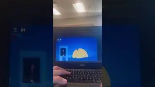 OvO Dimensions Level 20 WR