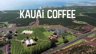 Пешая экскурсия по кофейне Kauai Coffee с сопровождающими