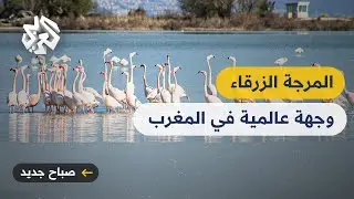 محمية المرجة الزرقاء في المغرب .. تنوع بيولوجي يجذب ملايين الطيور المهاجرة