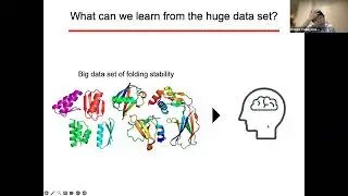 Mega-scale experimental analysis of protein folding stability in biology and design