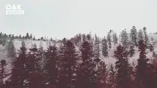 [No Copyright Music] Northwest - Acoustic Folk | Background Music