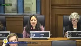 Virginia House of Delegates - Social Services Subcommittee Meeting - 2025-02-06