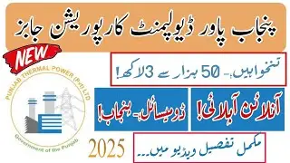 Punjab Government jobs 2024 - Jobs in Pakistan - WAPDA jobs 2025- Government Of Punjab jobs - jobs