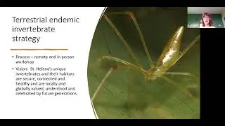 The progress and impact of St Helena's invertebrate strategies and the Spiky Yellow Woodlouse ...