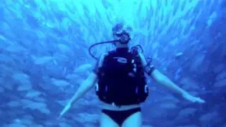 Scuba Diving in Cabo Pulmo