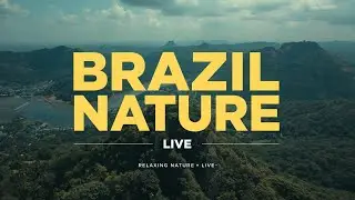 Brazil 🇧🇷 | Relaxing Nature, Landscapes & Cinematic Travel Ambience (Live)