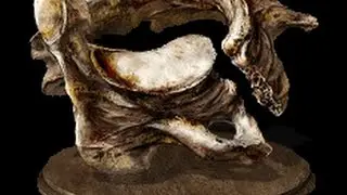 For the new people, how to get Vertebra Shackles with the red soap stone