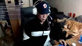 S. Korea 9 Dogs LIVE 260114