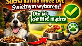 Sucha karma może być świetnym wyborem! Oto jak karmić mądrze