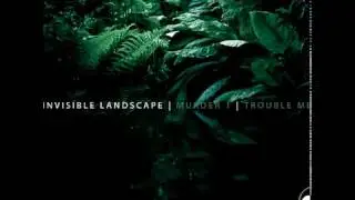 Invisible Landscape - Murder 1