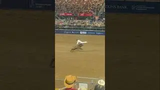 Rodeo show at Days of 47 Arena  2023 #saltlakecity #utah #rodeo #bull #bullfighteronly #rodeo #usa