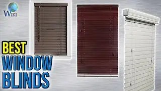 8 Best Window Blinds 2017