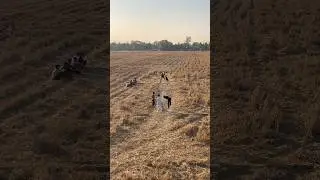 India Assam Cricket mach#viral #foryou #song #trending #vrailvideo