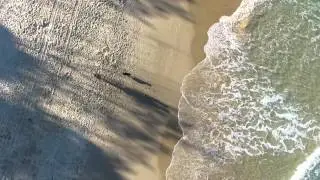 DJI Phantom 3: Relax Your Mind @ Currimundi