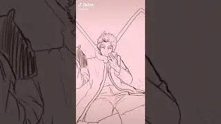 hawks animation