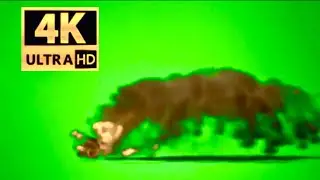 Green screen Fire 🔥 Explosion 💥 (4K video ). || Green Screen videos ||