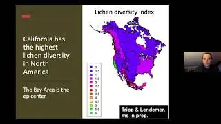 Maintaining California Lichen Diversity in an Era of Global Change: Dr. Jesse Miller