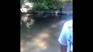 wilmont creek salmon fishing