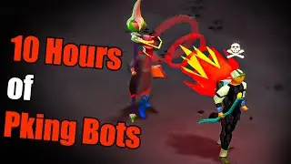 Profit From 10 Hours Of Pking Rev Bots