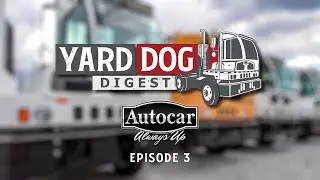 Yard Dog Digest Episode 2 - Types of Glass