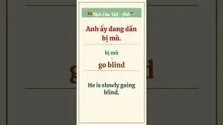 go blind | Vietnamese-English translation practice