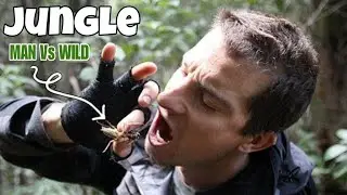 Hindi Audience ke liye: Bear Grylls ne kaise survive kiya khatarnak jungle mein? | Man vs Wild 