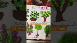 10 shrubs drawing with name #music #shrubs #10shrubs #project #kidproject #ideas