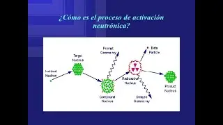 Activaci&oacute;n neutr&oacute;nica