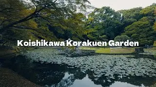 Koishikawa Korakuen Garden