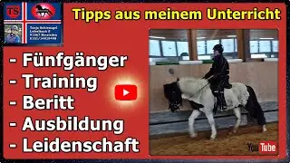 Pferdetraining, Isländer, Tipps aus Unterricht, Fünfgänger, Ausbildung, Tölt, Tanja Schienagel