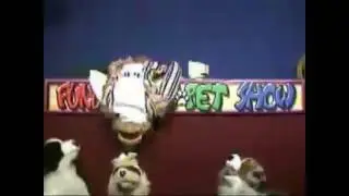 funday pawpetshow #462 (23)