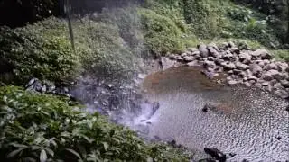 Crystal Shower Falls, Dorrigo National Park