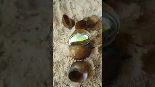 Aluminum Snail Shell: How to Fix Casting Errors #shorts #viralvideo #restoration #ytshorts #art 19