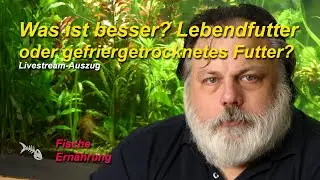 Was h&auml;ltst du von gefriergetrocknetem Futter im Vergleich zu Lebendfutter?
